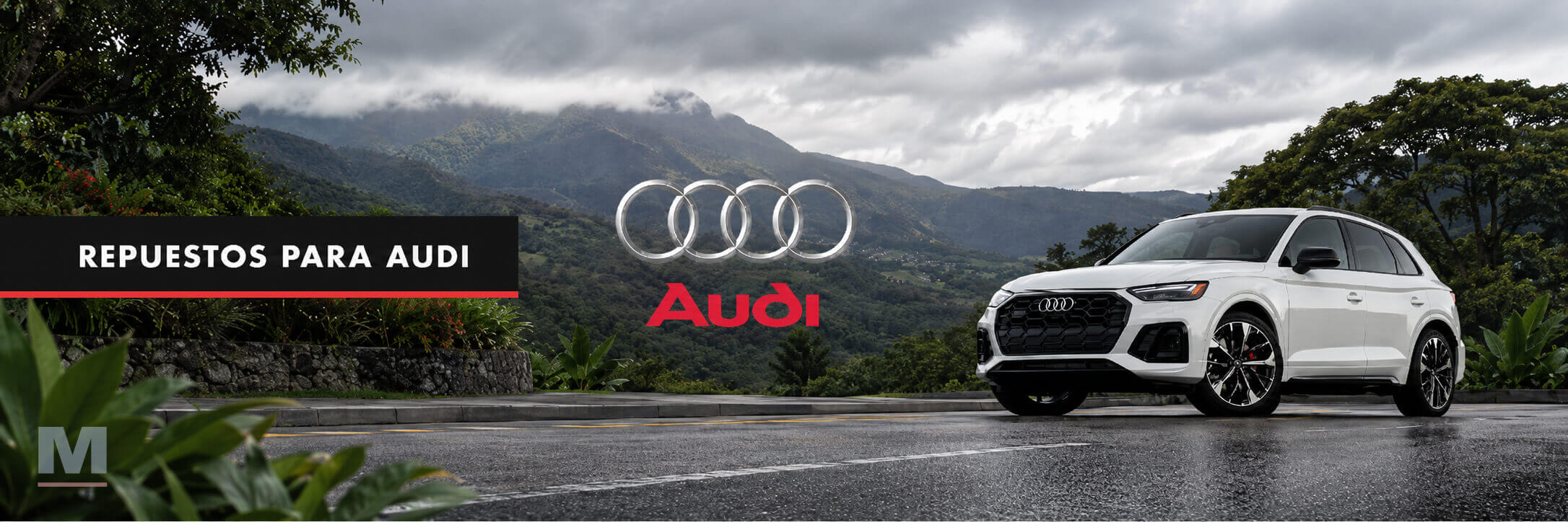 Repuestos para Audi